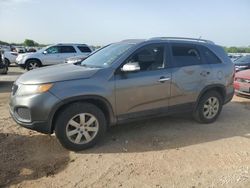 Salvage cars for sale at San Antonio, TX auction: 2011 KIA Sorento Base