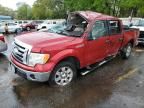 2009 Ford F150 Supercrew