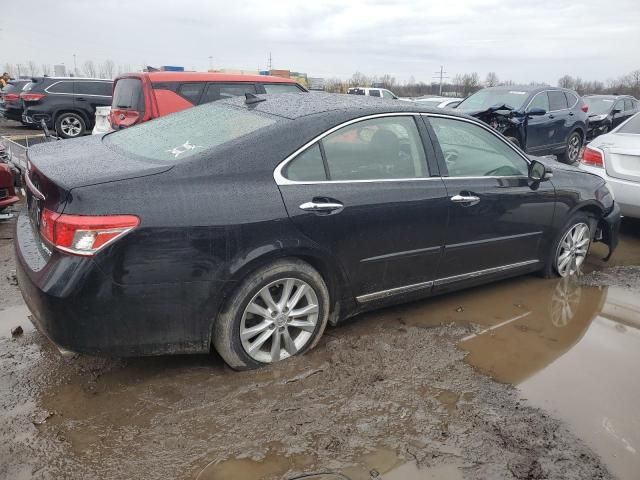 2010 Lexus ES 350