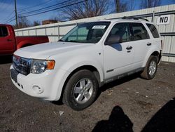 2008 Ford Escape XLT for sale in New Britain, CT