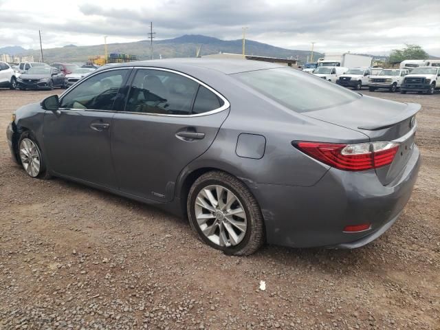 2013 Lexus ES 300H