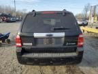 2008 Ford Escape HEV