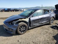 Salvage cars for sale at Vallejo, CA auction: 2023 Tesla Model 3