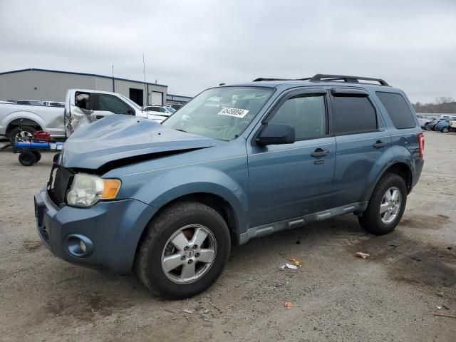 2011 Ford Escape XLT