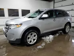 Salvage cars for sale at Blaine, MN auction: 2011 Ford Edge SEL