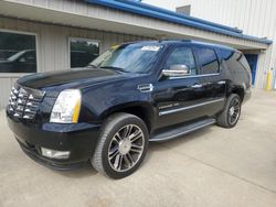 Carros dañados por inundaciones a la venta en subasta: 2011 Cadillac Escalade ESV Luxury