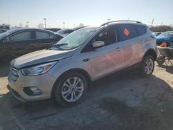 Salvage cars for sale at Indianapolis, IN auction: 2018 Ford Escape SE