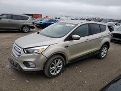 Salvage cars for sale at Indianapolis, IN auction: 2017 Ford Escape SE