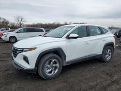 Salvage cars for sale at Des Moines, IA auction: 2023 Hyundai Tucson SE
