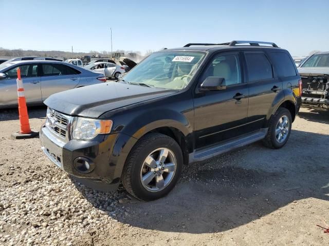 2010 Ford Escape Limited