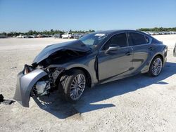 Salvage cars for sale at Arcadia, FL auction: 2023 Lexus IS 300