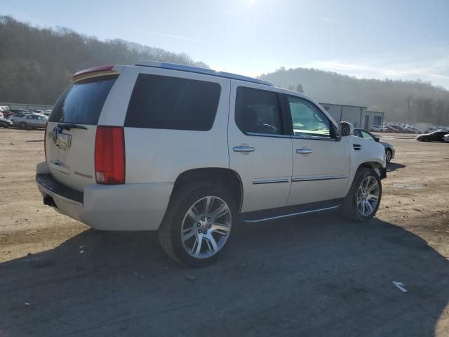 2010 Cadillac Escalade Luxury