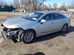 Salvage cars for sale at Baltimore, MD auction: 2020 Toyota Avalon XLE