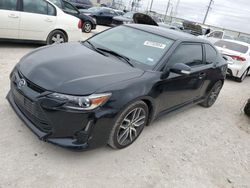 Salvage cars for sale at Haslet, TX auction: 2014 Scion TC