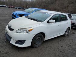 Salvage cars for sale at Marlboro, NY auction: 2009 Toyota Corolla Matrix S