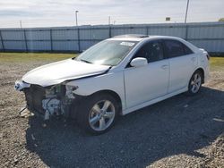 Salvage cars for sale at Sacramento, CA auction: 2011 Toyota Camry SE