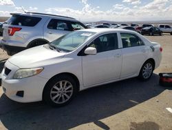 2009 Toyota Corolla Base for sale in Albuquerque, NM