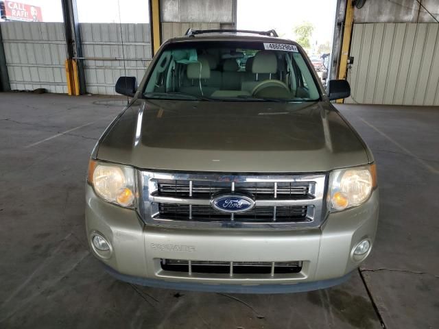 2011 Ford Escape XLT