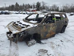 2021 Hyundai Palisade Calligraphy en venta en Kincheloe, MI