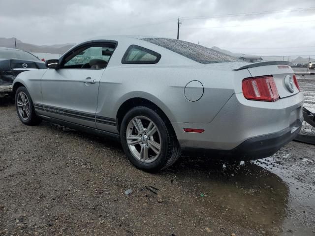 2010 Ford Mustang