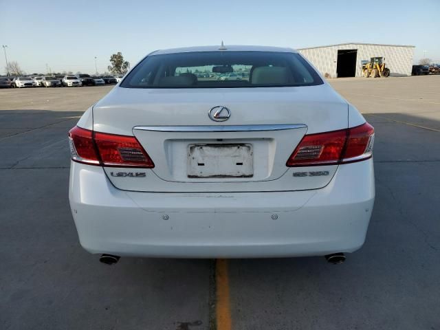 2010 Lexus ES 350