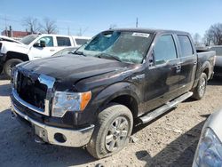 Ford salvage cars for sale: 2013 Ford F150 Supercrew