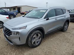 2023 Hyundai Santa FE SEL en venta en Temple, TX