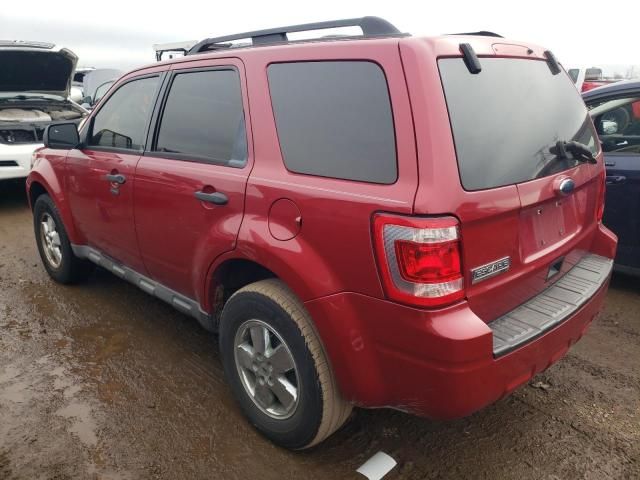 2009 Ford Escape XLT