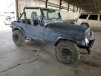 1991 Jeep Wrangler / YJ S