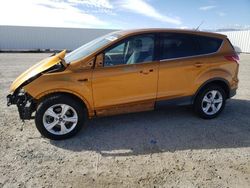 Salvage cars for sale at Adelanto, CA auction: 2016 Ford Escape SE