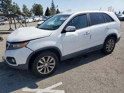 KIA Sorento EX Vehiculos salvage en venta: 2011 KIA Sorento EX