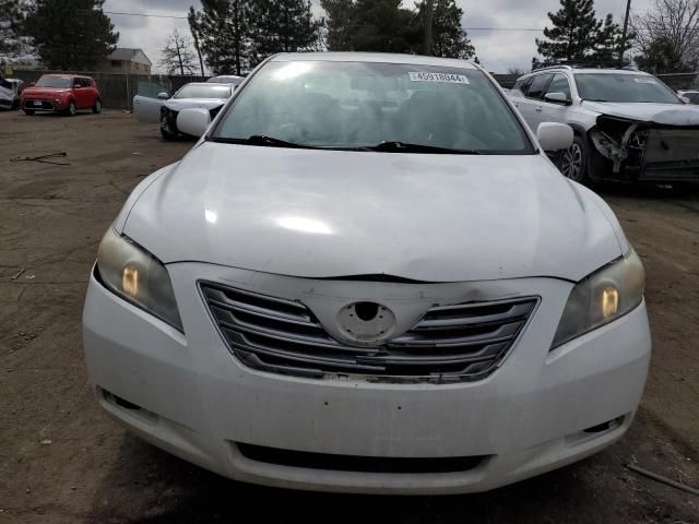 2008 Toyota Camry Hybrid