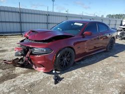 Salvage cars for sale from Copart Lumberton, NC: 2017 Dodge Charger R/T 392