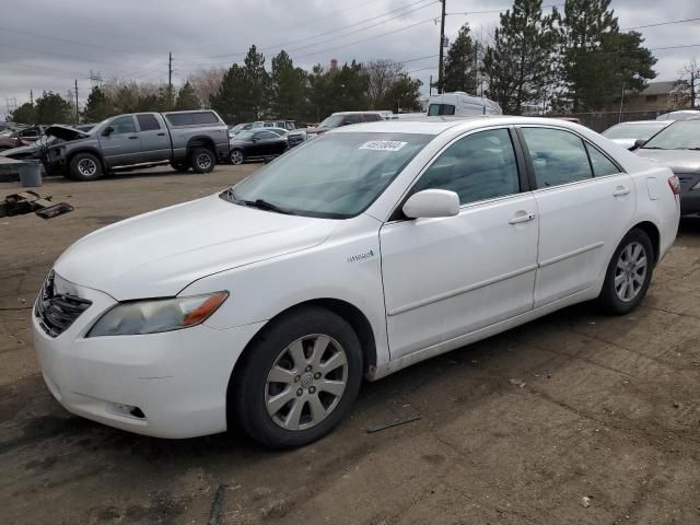 2008 Toyota Camry Hybrid