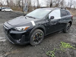 Subaru Crosstrek Premium salvage cars for sale: 2023 Subaru Crosstrek Premium