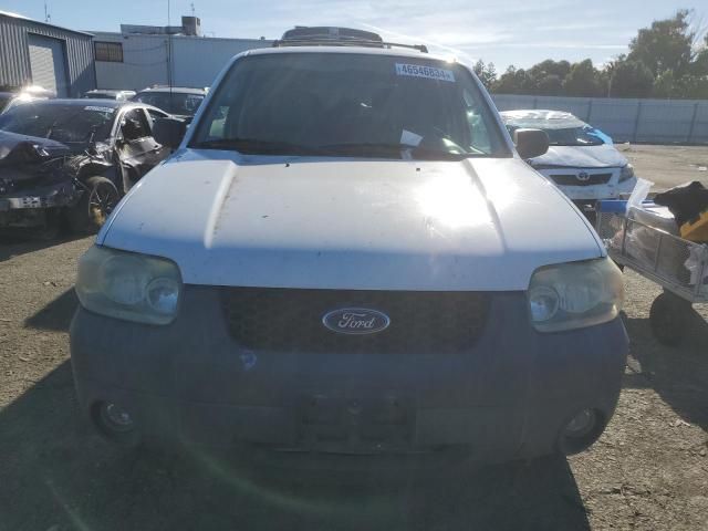 2006 Ford Escape XLT