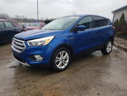 Salvage cars for sale at Louisville, KY auction: 2017 Ford Escape SE