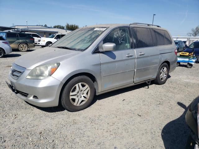 2007 Honda Odyssey EXL