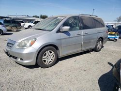 Salvage cars for sale at Sacramento, CA auction: 2007 Honda Odyssey EXL