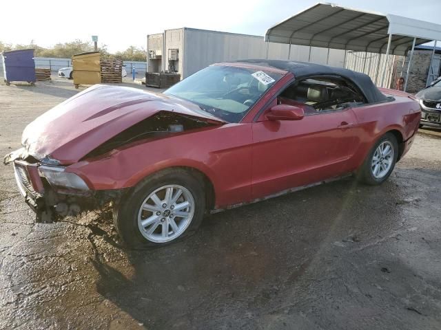 2010 Ford Mustang