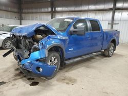 Salvage cars for sale from Copart Des Moines, IA: 2013 Ford F150 Supercrew