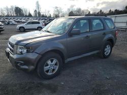 Ford Escape XLS salvage cars for sale: 2009 Ford Escape XLS