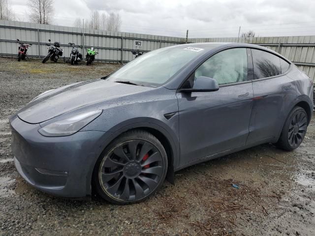 2023 Tesla Model Y