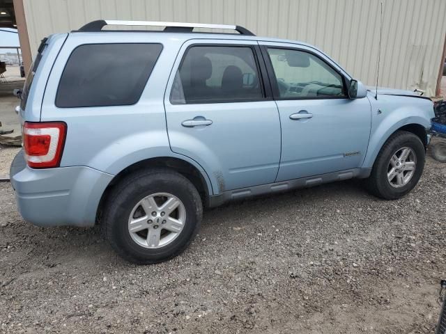 2008 Ford Escape HEV