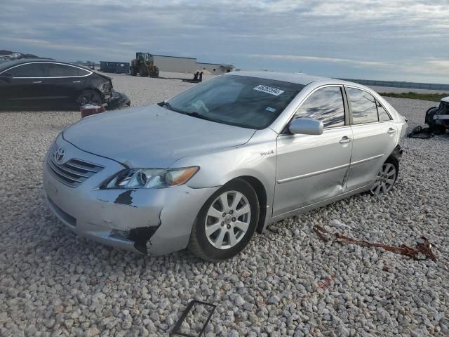 2009 Toyota Camry Hybrid