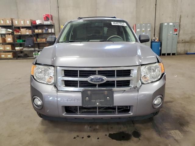 2008 Ford Escape XLT