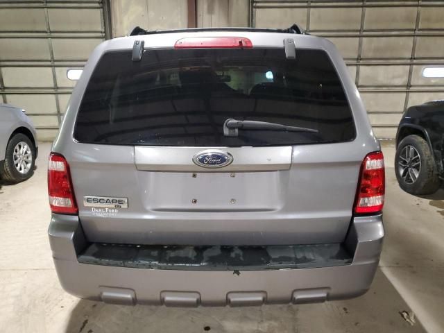 2008 Ford Escape XLT