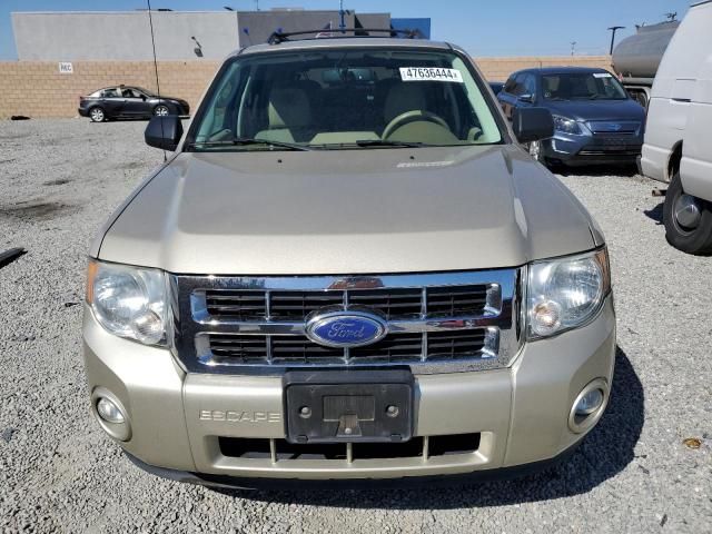 2011 Ford Escape XLT