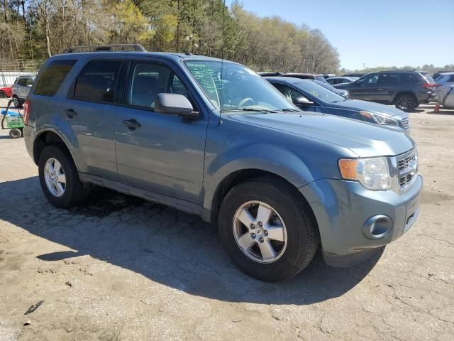 2012 Ford Escape XLT