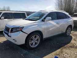 Lexus RX450 salvage cars for sale: 2010 Lexus RX 450